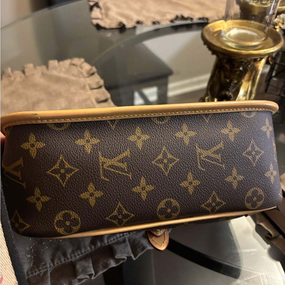 Louis Vuitton Monogram Canvas Zip Bag